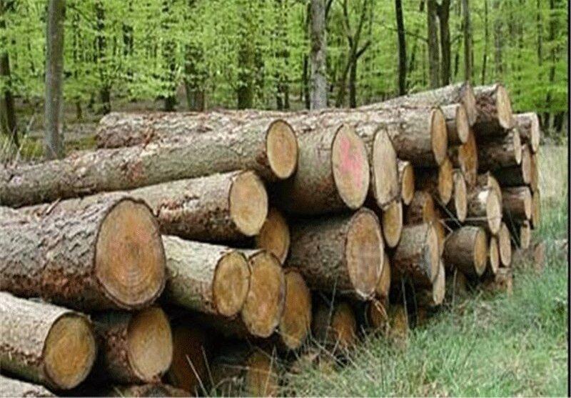 3 تن چوب قاچاق در گچساران کشف شد