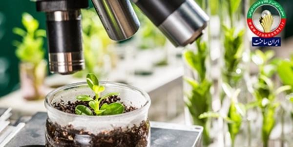 نگاهی به خروجی فعالیت 14 ساله فناوران صنعت گیاهان دارویی، 5000 محصول گیاهی و سنتی ایرانی مجوز گرفته اند