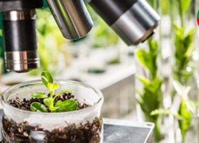 نگاهی به خروجی فعالیت 14 ساله فناوران صنعت گیاهان دارویی، 5000 محصول گیاهی و سنتی ایرانی مجوز گرفته اند