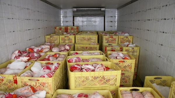 توزیع روزانه 1500 تن مرغ گرم و منجمد در تهران