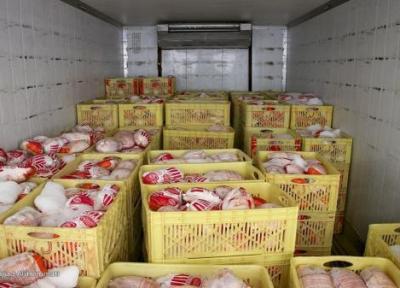 توزیع روزانه 1500 تن مرغ گرم و منجمد در تهران