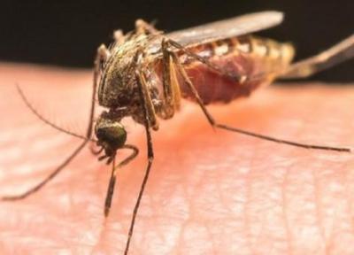 شناسایی اولین مورد مثبت مالاریا در نیشابور