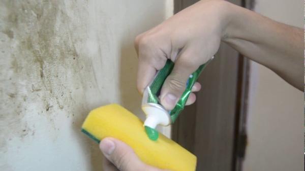 9 گام برای تمیز کردن دیوار های خانه؛ برترین ترکیب برای شستن دیوار، از معجزه خمیردندان برای خط های روی دیوار بهره ببرید