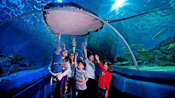 معرفی آکواریوم فلوریا استانبول Istanbul Aquarium